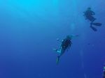 Hawaii Scuba divng 23