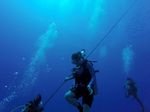 Hawaii Scuba divng 24