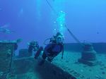 Hawaii Scuba divng 27