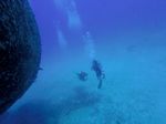 Hawaii Scuba divng 37