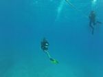 Hawaii Scuba divng 46