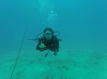 Hawaii Scuba divng 51