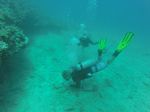 Hawaii Scuba divng 56