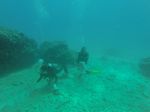 Hawaii Scuba divng 59