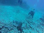 Hawaii Scuba divng 64