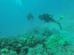 Hawaii Scuba divng 67