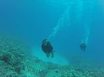 Hawaii Scuba divng 72