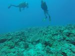 Hawaii Scuba divng 74