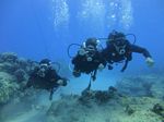 Hawaii Scuba divng 12