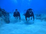 Hawaii Scuba divng 13