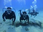 Hawaii Scuba divng 16