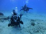 Hawaii Scuba divng 17