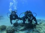 Hawaii Scuba divng 18