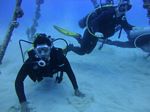 Hawaii Scuba divng 20