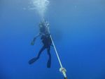 Hawaii Scuba divng 45