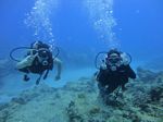 Hawaii Scuba divng 49