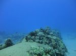 Hawaii Scuba divng 04