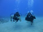 Hawaii Scuba divng 51