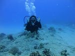 Hawaii Scuba divng 51