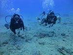 Hawaii Scuba divng 54