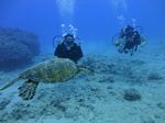 Hawaii Scuba divng 56