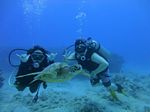 Hawaii Scuba divng 57