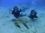 Hawaii Scuba divng 59