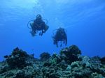 Hawaii Scuba divng 66