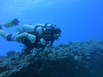 Hawaii Scuba divng 67