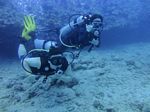 Hawaii Scuba divng 68