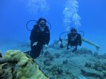 Hawaii Scuba divng 70