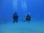 Hawaii Scuba divng 71