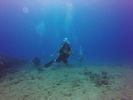 Hawaii Scuba divng 12