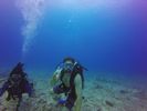 Hawaii Scuba divng 14