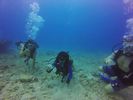 Hawaii Scuba divng 15