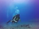 Hawaii Scuba divng 17