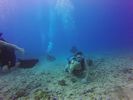 Hawaii Scuba divng 18