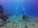 Hawaii Scuba divng 19