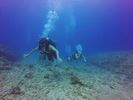 Hawaii Scuba divng 20