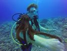 Hawaii Scuba divng 23