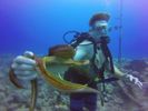 Hawaii Scuba divng 24