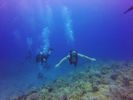 Hawaii Scuba divng 37