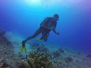 Hawaii Scuba divng 51