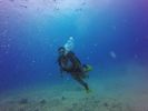 Hawaii Scuba divng 52