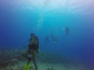 Hawaii Scuba divng 56