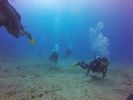 Hawaii Scuba divng 61