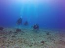 Hawaii Scuba divng 65