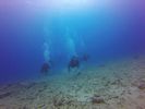 Hawaii Scuba divng 68