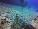 Hawaii Scuba divng 78