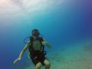 Hawaii Scuba divng 81